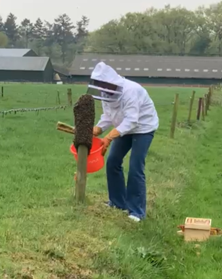 imker leontine uijthof - Hengelo