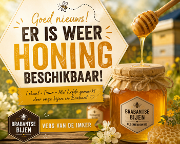 Bee Happy - Eindhoven
