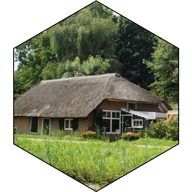 Location Image