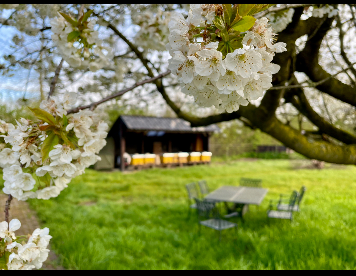 Imkerij de vrije heerlijkheid - Sambeek