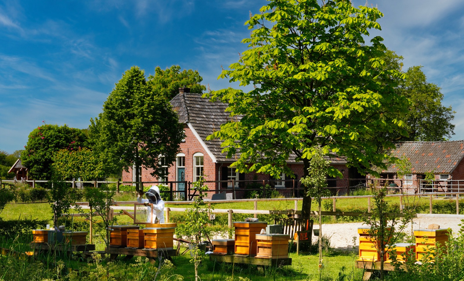 Horse & Hop Honing - WESTENDORP