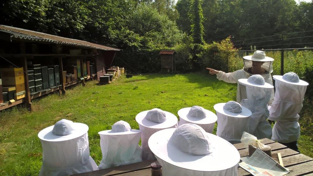 Location Image