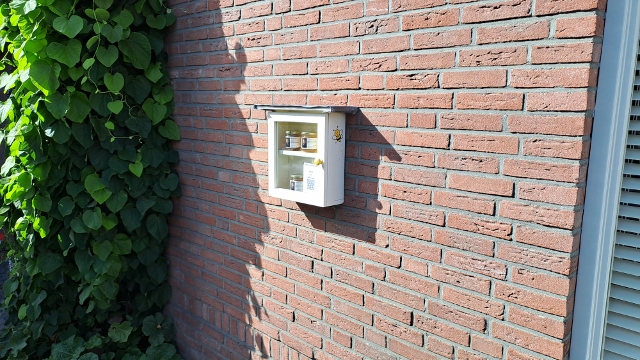 Wethouder van Buurenstraat - Wierden