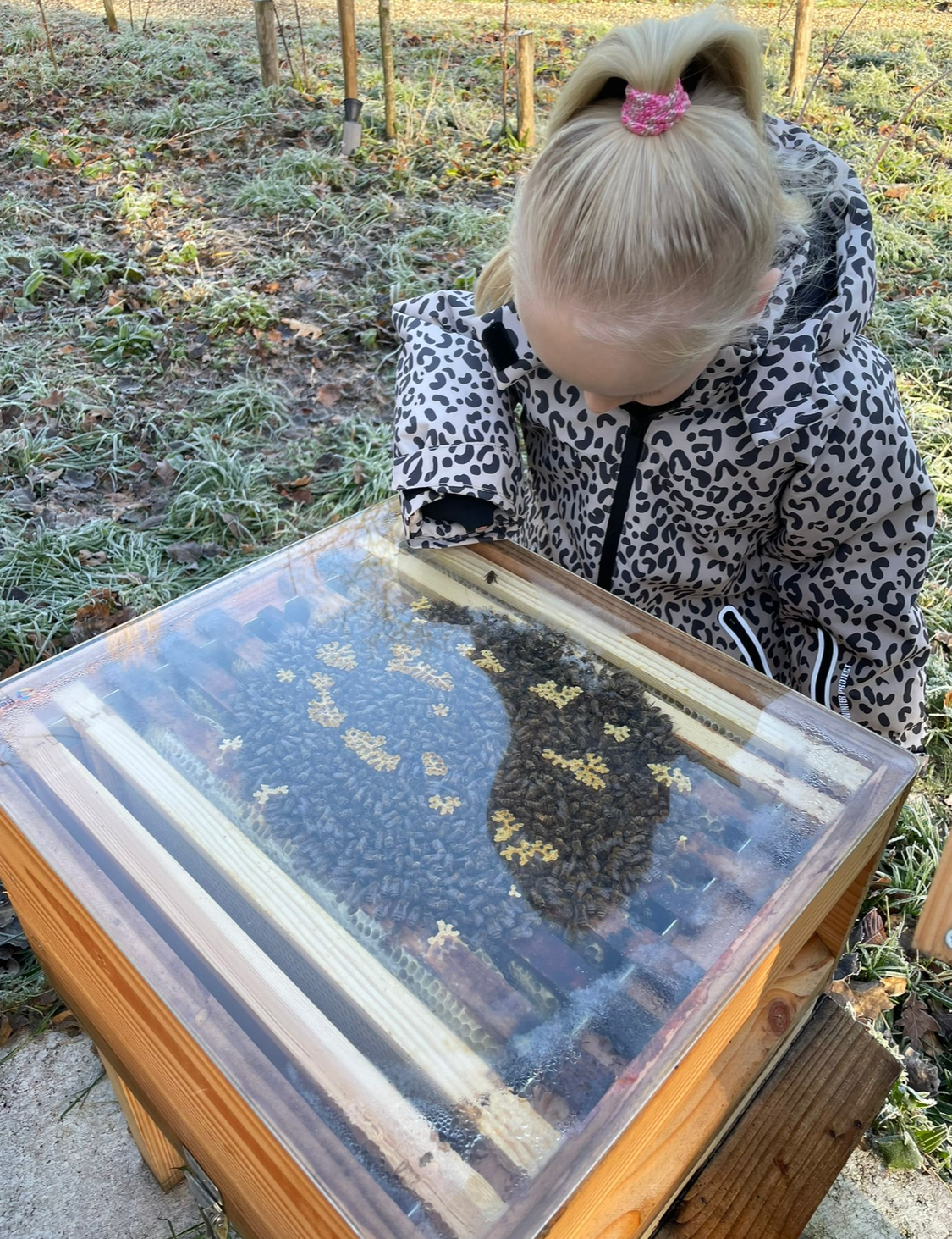 De wilde hoek - Wouwse Plantage
