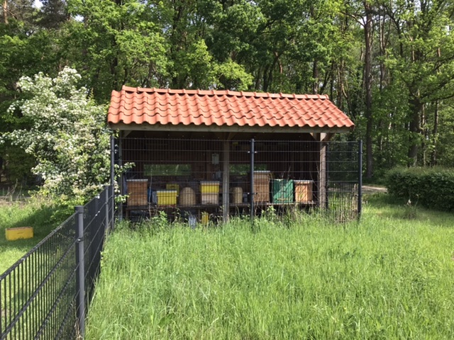 Location Image