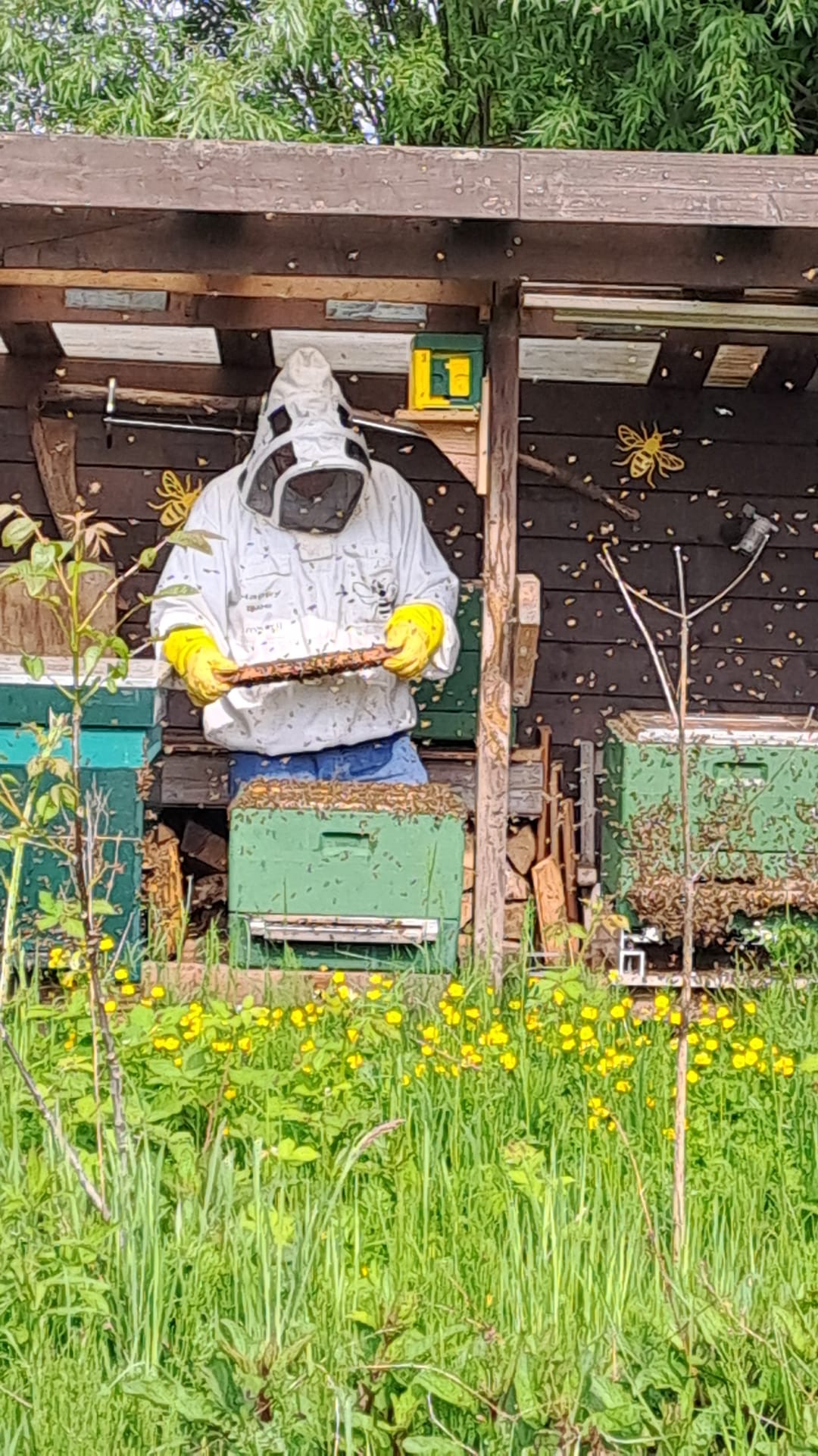 Happy Bee imker - VALKENBURG