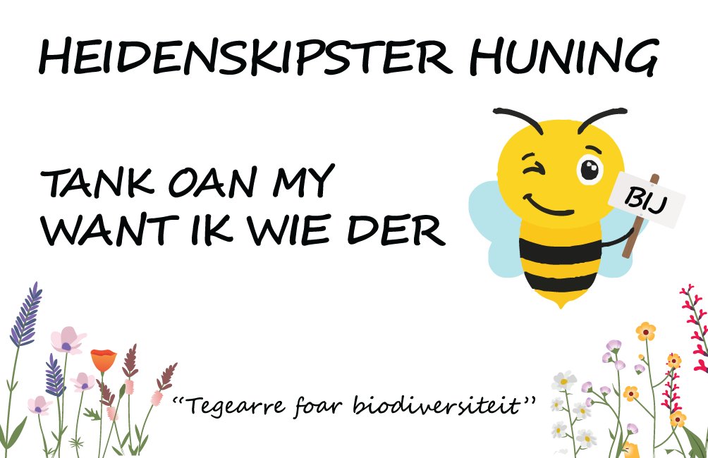 BIN DER BIJ - It Heidenskip
