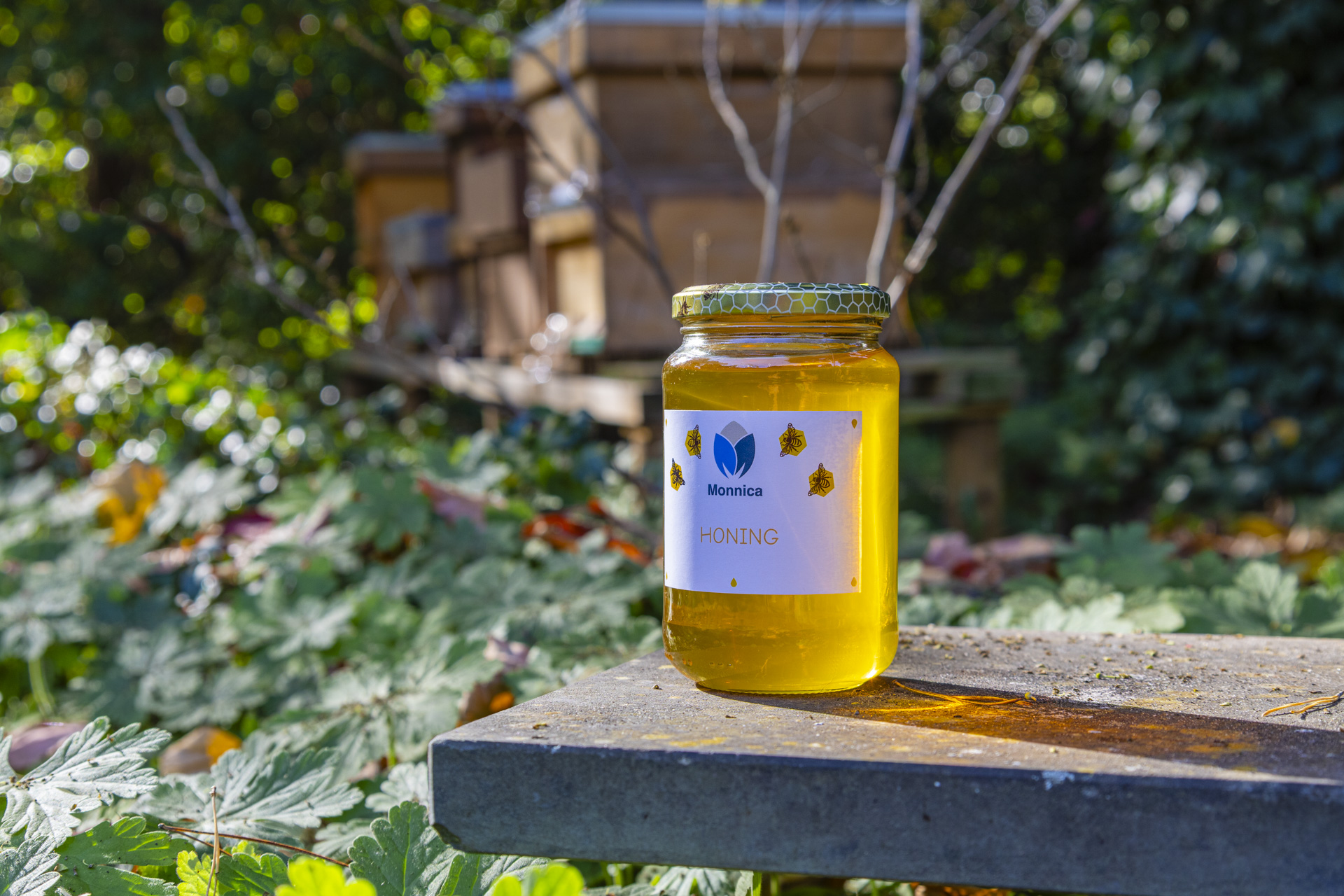 Monnica Bees - Ossendrecht